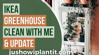 Ikea Green House Cabinet (Fabrikor) Экскурсия по комнатным растениям и уборка со мной