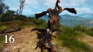 Hunting Monsters and Gwent Cards in Velen | The Witcher 3: Wild Hunt [ 16 ]