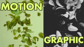 Waving Leaves - Cinematic 3D Animation | Ambient | CGI Short