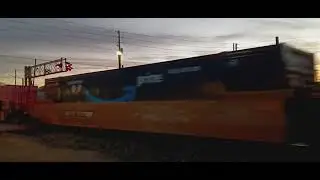 NS 25A with NS 9748 D9-40CW NS 9901 D9-40CW and NS 9802 D9-40CW