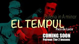 El Tempul Finale -  Buleria in A Minor - Lessons Soon at Patreon