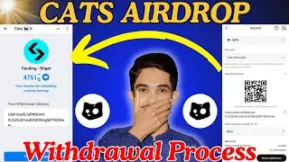Cats Airdrop Bitget Wallet Connect - Cat Airdrop Withdrawal Complete Process-Cat Airdrop New Update