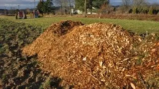 Free Woodchips
