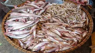 Market Food Sales 2019, Best Market Street Food Compilation, Asian Street Food 2019
