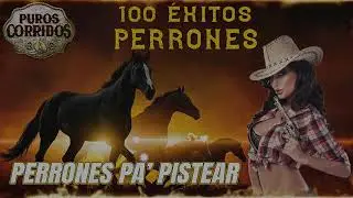 Los Mejores Corridos Para Pistear 2026 🍺 | Puros Perrones Mix
