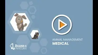 Buzz to the Rescues: Animal Management: Medical