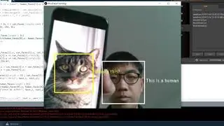 Facial recognition of human and cat faces + interactions
