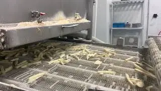 Eggplant Processing Facility