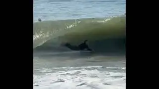 #2025 #sealbeach #bigwaves#surf #kingstide#dec27,2025