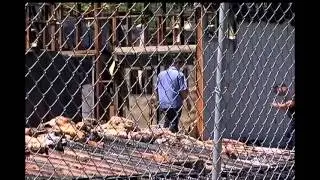 Post office fire intentionally set