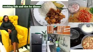 SPEND AN EVENING WITH ME;Cooking  Rice &Fish/Cleaning and organizing 