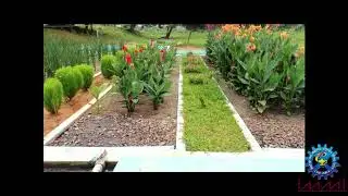 CSIR-IMMT Waste Water Treatment by Constructed Wetlands