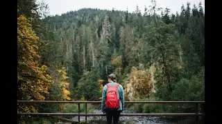 Pacific Northwest Drone 4K