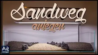 Sandweg im Aquarium anlegen | AquaOwner