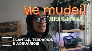 TOUR PELO MEU NOVO ESPAÇO 🌿 | PLANTAS, AQUÁRIOS, TERRÁRIOS E INSETOS
