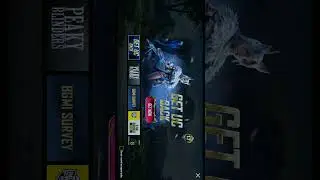 Pet emotes🦅