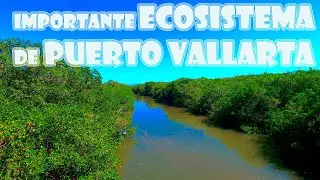 ESTERO EL SALADO | PUERTO VALLARTA