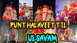 Punthalaveetil ammaude Ulsavam🤩😍 #festival #village #shinkarimelam #vibe#night #pathanamthitta #kala