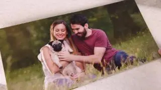 Pets Album