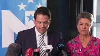 Jami-Lee Ross breaks out of National Party ranks over leaker report