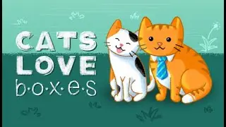 I Missed a Devcats Game?!? ~ Cats Love Boxes ~ Part 1