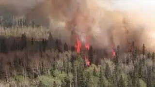 Wildfire season forecasting
