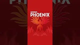 pushed to 400iso: examples and review of a new palette #harmanphoenix #phoenixfilm #filmphotography