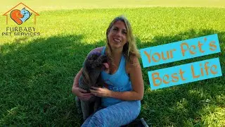 Furbaby Pet Services | Your Pet's Best Life