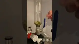 Dry Hop Thing