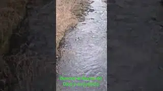 🌿 Paz para el alma.&rdquo;🦆 La calma de la creaci&oacute;n.🌊 Respira y descansa.&rdquo;🙏 Dios nos regala un dia mas &rdquo;✨