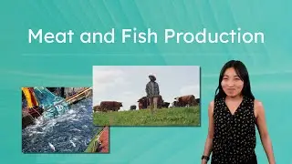 Meat and Fish Production - Understanding the Impacts of the Foods We Eat