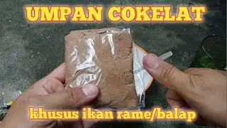 UMPAN COKELAT KHUSUS IKAN RAME/BALAP || tanpa kroto & essen