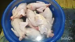 Перосъёмка готова,проверка.