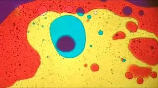 Optikinetics Liquid Oil Wheel. No sound.