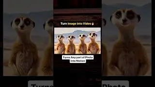 Boost Your YouTube Views with AI: Thumbnail, Title, and Tag Optimization Tool