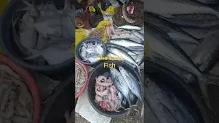 Taja fish in the fish market. #shorts # fish# market.