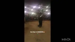 Nzo Tiger ( Résumé de prestations 🇧🇫🔥)