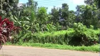 Sony Cyber-Shot DSC- HX200V Camera Video Quality Test