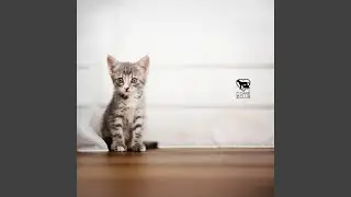 Gentle Puff of Air