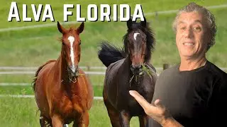 Living in Alva Florida: A Lee County Hidden Gem