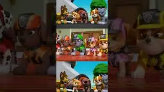 🐾PAW Patrol Rescue World: Marshall, Rubble, Chase, Zuma, Rocky and Skye & Ryder #pawpatrol #shorts