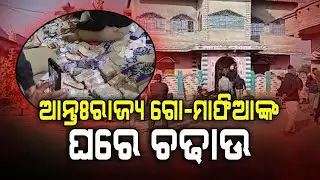 ଆନ୍ତଃରାଜ୍ୟ ଗୋ-ମାଫିଆଙ୍କ ଘରେ ଚଢଉ... | Cow Smuggling Case | Cow Smuggler | Odisha News | Argus Digital