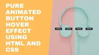 Pure Animated Button Hover Effect Using HTML And CSS || HypertextMan