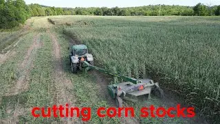 cutting corn stocks and baling it to feed the cow.