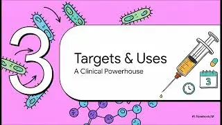 6 Ceftriaxone  Mechanism, Efficacy, and Clinical Uses