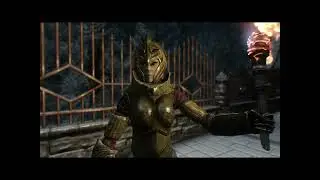 Altmer woman and Nord Swords
