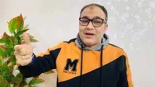 هادي رياض اهلاوي-رتوش الفاخوري والمهاجم وسر عيد وعثمان وبو علي وبن شرقي-برنامج يانج-موقف التجديدات