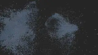 HDRP Boids Test1