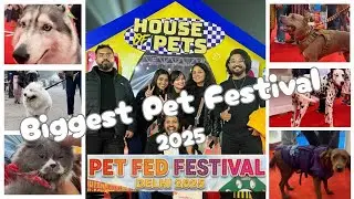I visited the Biggest Pet Festival of India - PetFed 2025  Day- 1 Pitbull ne kaat liya :(