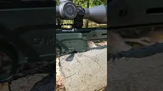 CZ457 + MDT ACC Премьер Шасси!!